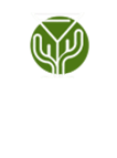 Desert Desert