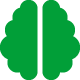 brain