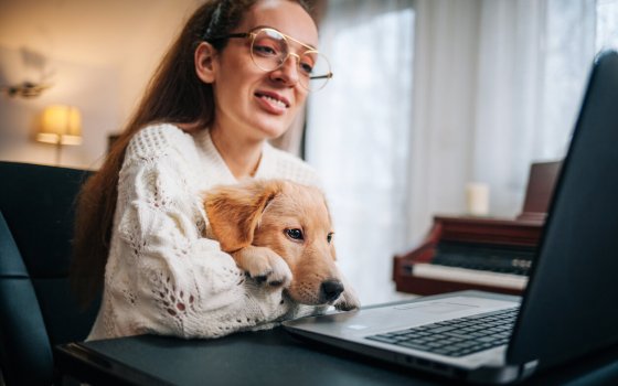 young woman working on laptop at home and holding golden retriever puppy