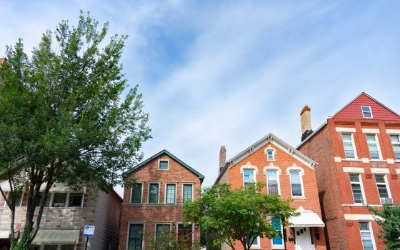 A row of old brick homes in the Pilsen neighborhood of Chicago during the summer