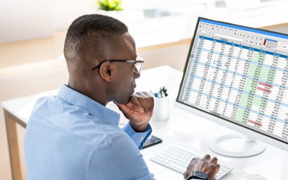 Analyst Employee Working With Spreadsheet On Computer